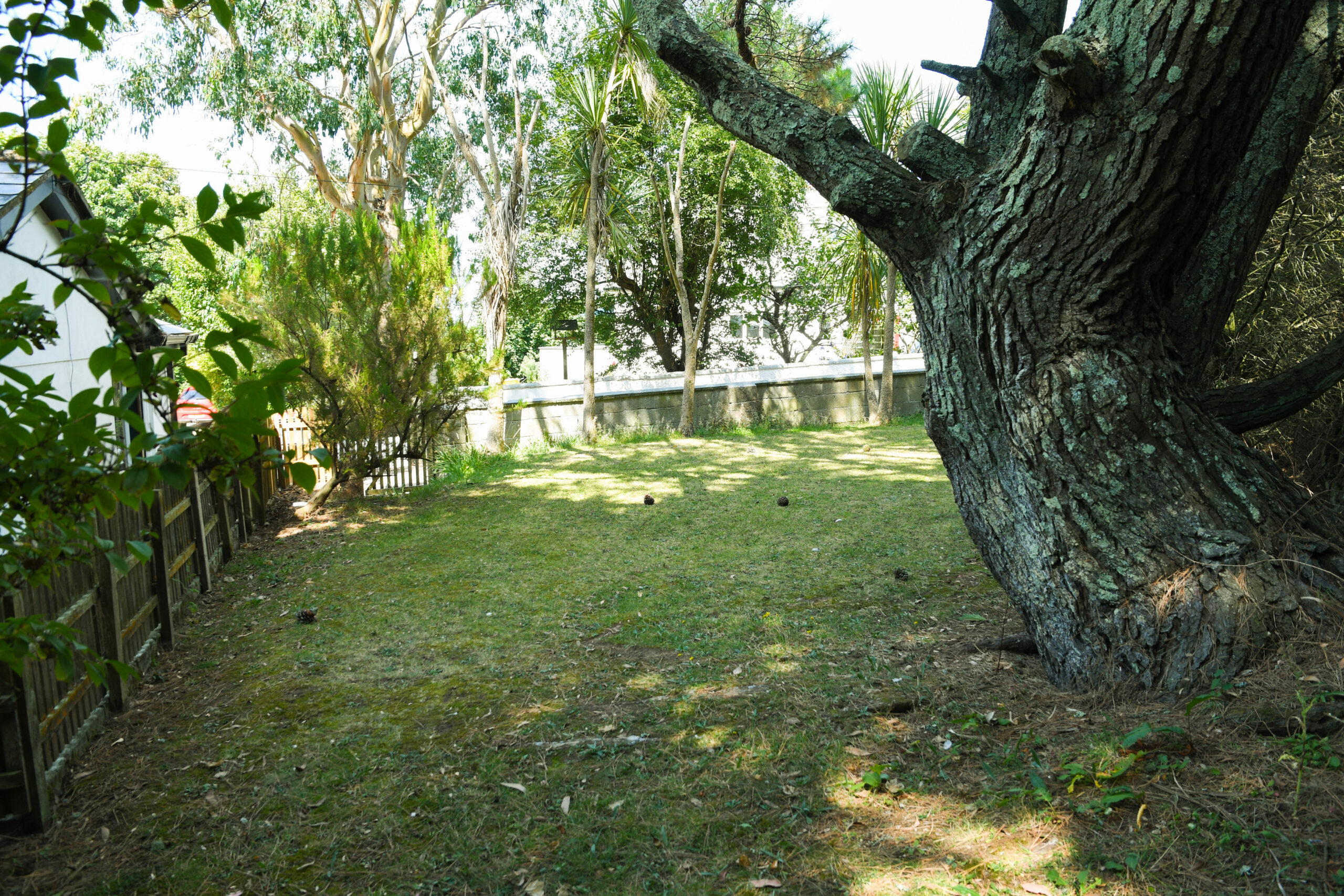 image00030