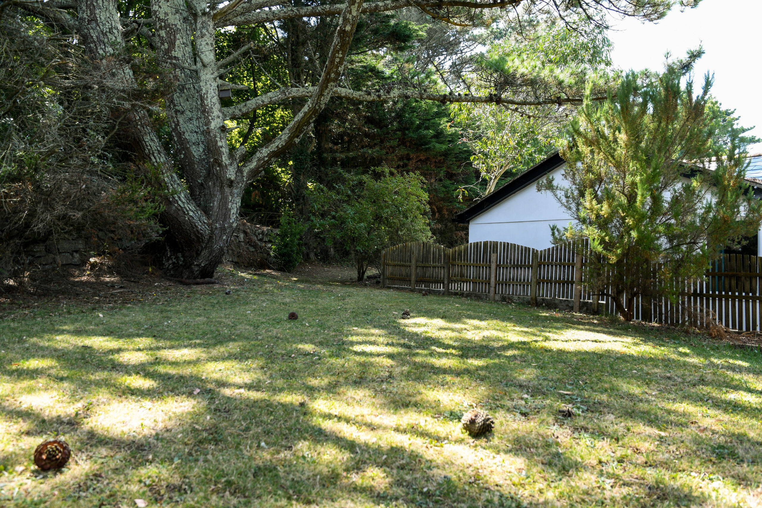image00031